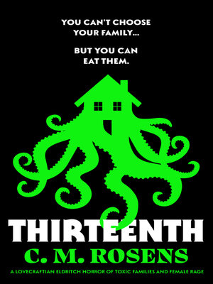 cover image of Thirteenth